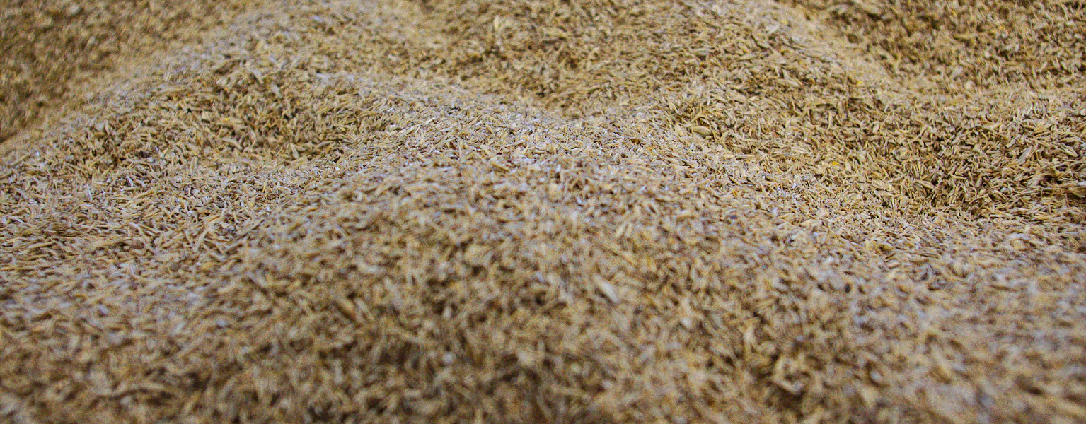 Why Fiber Matters